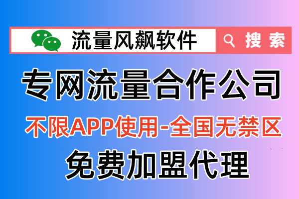 📱专网流量包，你的5G上网神器！